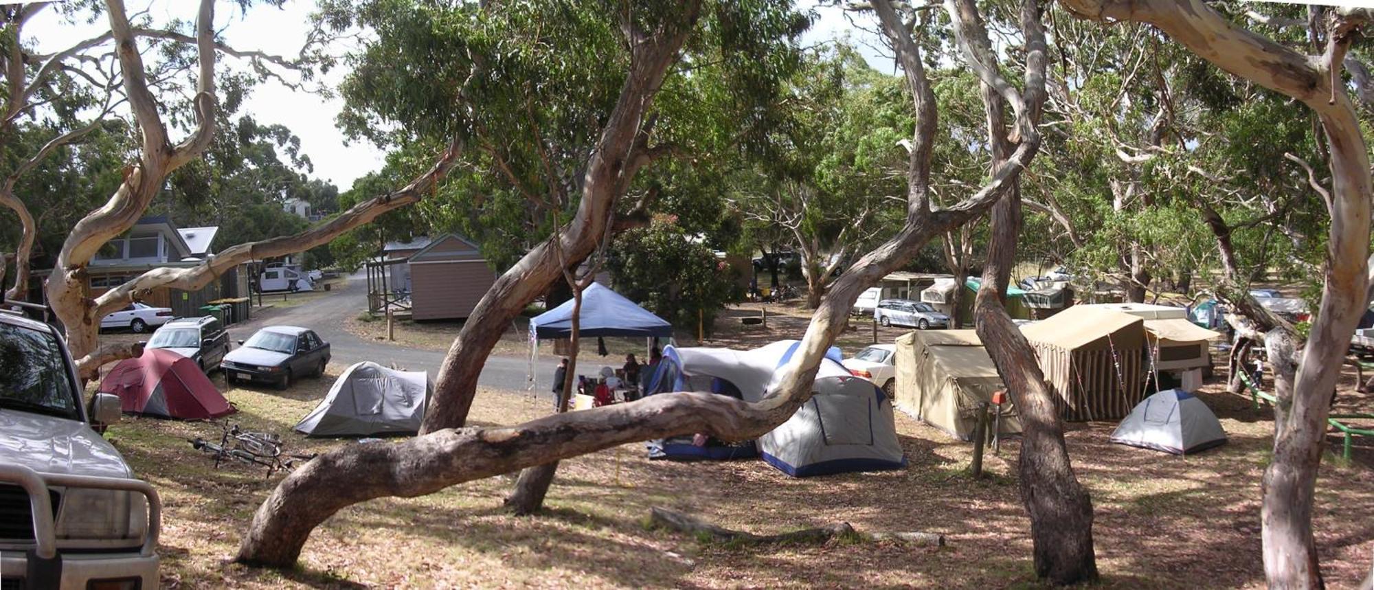 Bimbi Park - Camping Under Koalas ケープ・オトウェイ エクステリア 写真