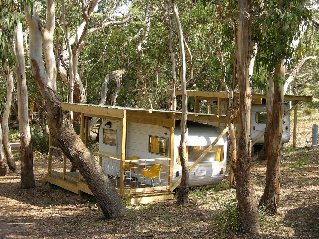 Bimbi Park - Camping Under Koalas ケープ・オトウェイ エクステリア 写真