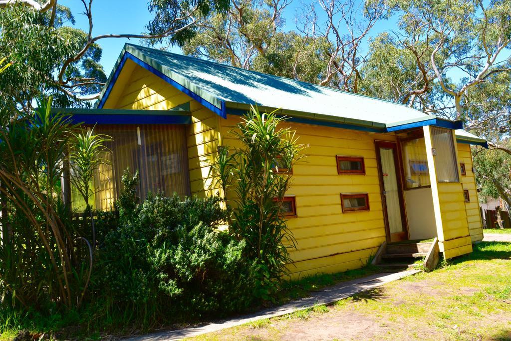 Bimbi Park - Camping Under Koalas ケープ・オトウェイ エクステリア 写真