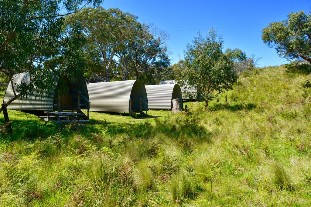 Bimbi Park - Camping Under Koalas ケープ・オトウェイ エクステリア 写真